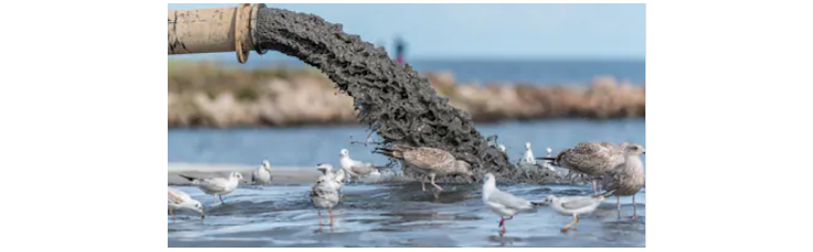 1589167032896739.png 图片.png